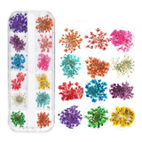 Flores Secas Encapsulamento Unhas Decoração Cores Uv Led