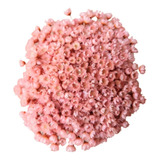 Lembrancinha