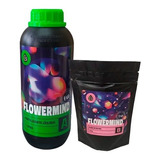 Flowermind Kit Nutricao M 1litro