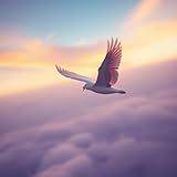 Flyback