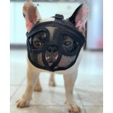 Bulldog