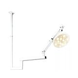 Foco Com 24 Leds De Teto Dl4000 Procedimento Veterinário