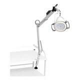 Foco De Luz Fria Clínica Led Apoio De Mesa bivolt Estek