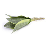 Folhagem Artificial Espada São Jorge X6 Verde 2t 25 Cm