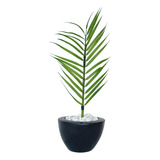 Decorativo