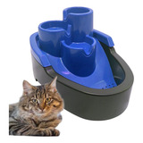 Gatos