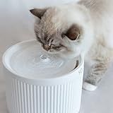 Fonte De Água YO   Bebedouros Para Gatos Pets Automático Com Filtro De Carvão Ativado   Bivolt