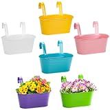 Foraineam Pacote Com 6 Vasos De Flores Pendurados Suportes De Metal Para Plantas De Ferro Vasos De Jardim Vasos De Varanda Porta Flores De Metal Com Ganchos Destacáveis Para Cerca E Varanda