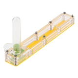 Formigueiro De Umidade Acrílica Com De Formicarium De