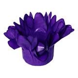 Roxo