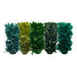 Verdes