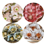 Forminhas Margaridas Em Papel Especial Jufiori Kit 600 Un
