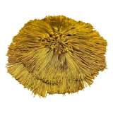 Dourada