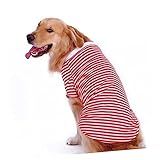 FRCOLOR Camiseta De Cachorro Colete Para Cachorro Colete De Algodão Para Cachorro Camisas De Cachorro Roupas Border Collie
