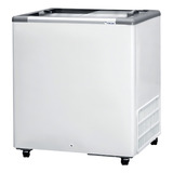 Freezer Conservador Horizontal 216l 2 Portas De Vidro Fricon
