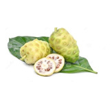 Fruta Noni Orgânicos Sua Saúde Blindada Pela Natureza Full