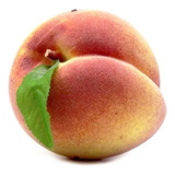 Cm