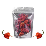 Frutos Desidratados Pimenta Carolina Reaper viciado Em Pimen