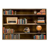 Fundo Fotográfico Estante De Livros Newborn 2 45x3 50 Pn 333
