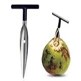 Profissional
