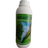 Hortaliças
