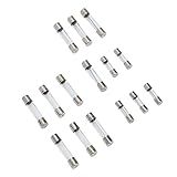 Fusewire De Vidro 250 Peças- Kit De Sortimento De Tubo De Sopro Rápido Para Carro 1-20a 250v- Embalado Em Uma Caixa De Plástico Transparente- Fornece Proteção