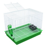 Chinchila