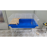 Gaiola Bragança Coelho 100 Comfort Cor Azul Suporte