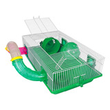 Gaiola Bragança Hamster Tubos Divertidos