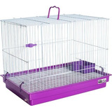 Lilas