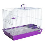 Gaiola Coelho Hamster Porquinho Da India Chinchila Conforto