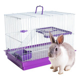 Chinchila