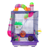 Pet