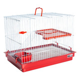 Gaiola Para Coelhos Porquinho Índia Chinchila 2 Andares