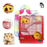 Gaiola Para Hamster E Roedores Labirinto 3 Andares Grande