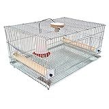 Gaiola Para Pintinhos Mini Criadeira