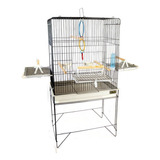 Ringneck