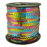 Galão Fio Paetê Artesanato Colorido 6mm 10m