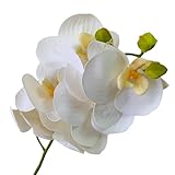 Galho De Orquídea Branca Com Miolo Amarelo Com 6 Flores Phalaenopsis Artificial Siliconada Toque Real 70cm