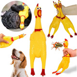 Galinha Frango Brinquedo Pet Borracha Mordedor Sonoro Apito