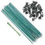 conjunto orquideas estacas jardim bambu clipes flores videiras varas suporte plantas varas bambu plantas verdes plantar plastico