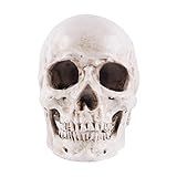 GANAZONO Modelo De Crânio Humano Crânios Decorações De Caveiras Cabeça De Crânio Humano Uso Anatômico E De Rastreamento O Manequim Cara Pessoa Real Branco Acessórios Para Festa