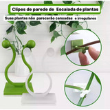 Gancho Parede Autoadesivo Fixação Planta Trepadeira Kit C 20