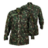 Exercito