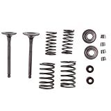 Gazechimp Kit De Molas De Válvula De Admissão E Escape Para Motor Horizontal De 110 Cc