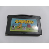 Case