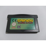Case
