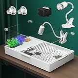 Geegoods Aquário De Tartaruga Com Luz Tanque De Répteis Com Bomba De água E Luz Aquário De Tartarugas Lago Terraço Com Plataforma Para Habitat De Répteis De Tartarugas 40 X 25 Cm 