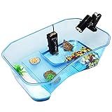 Geegoods Aquário De Tartaruga Tanque De Répteis Lago Terraço Lago Plataforma Plantas Para Animais De Estimação Tartaruga Réptil Habitat
