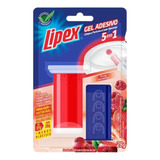 Lipex